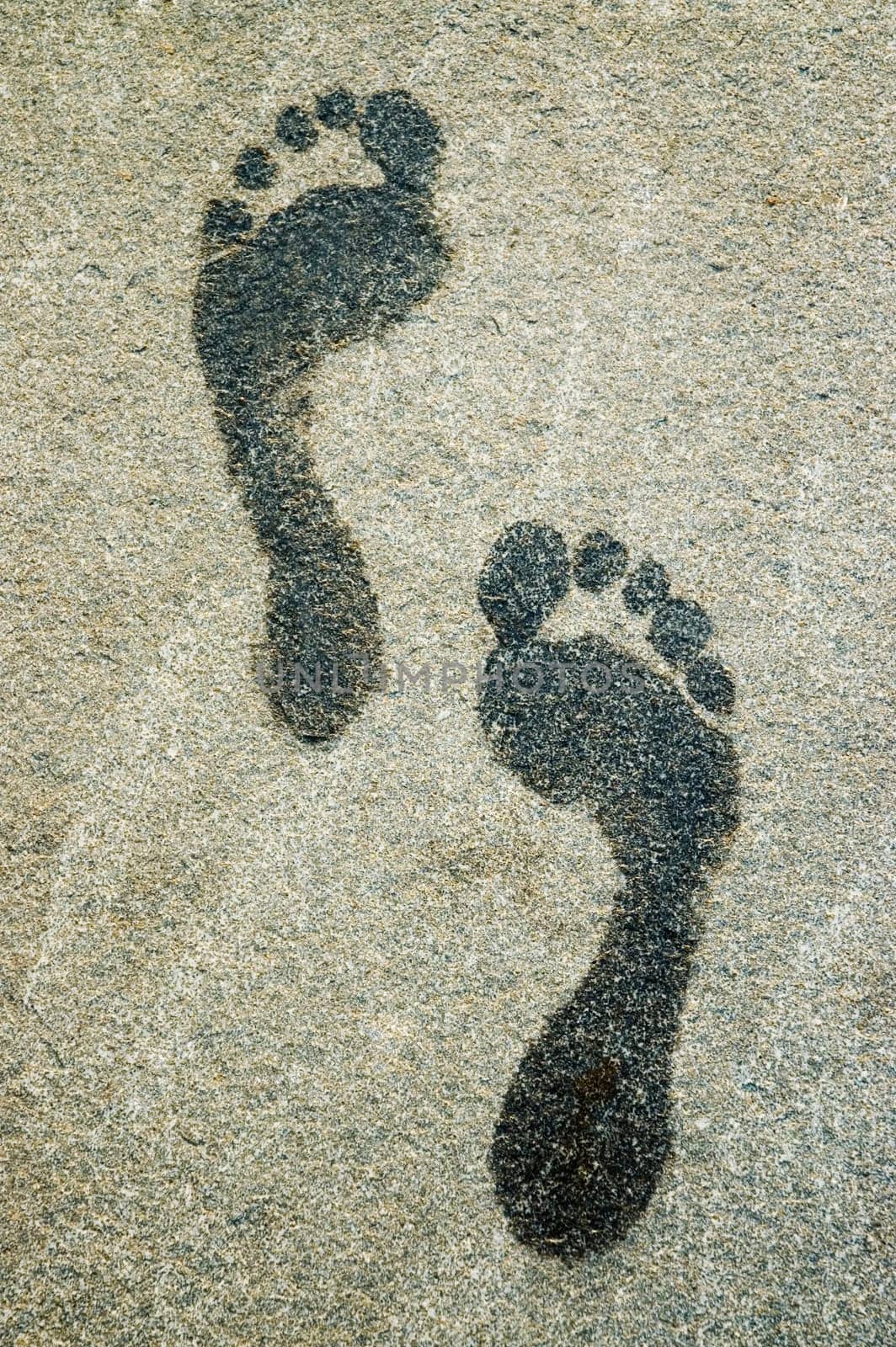 Close-up of footprints