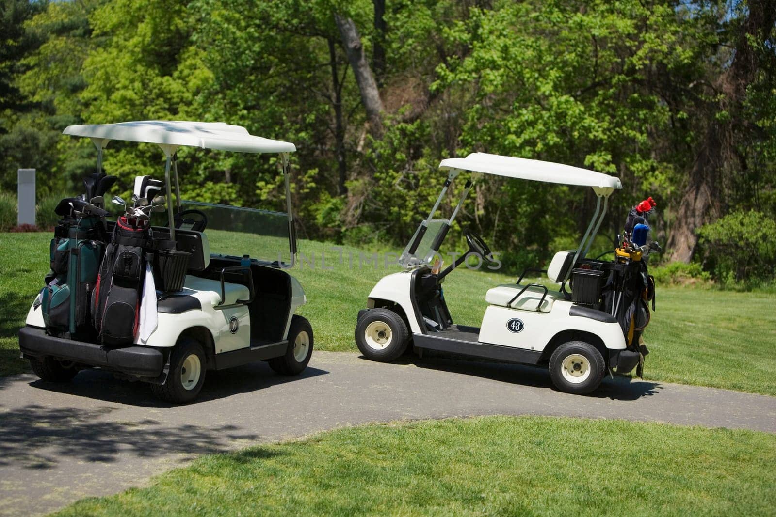 Two golf carts on a path