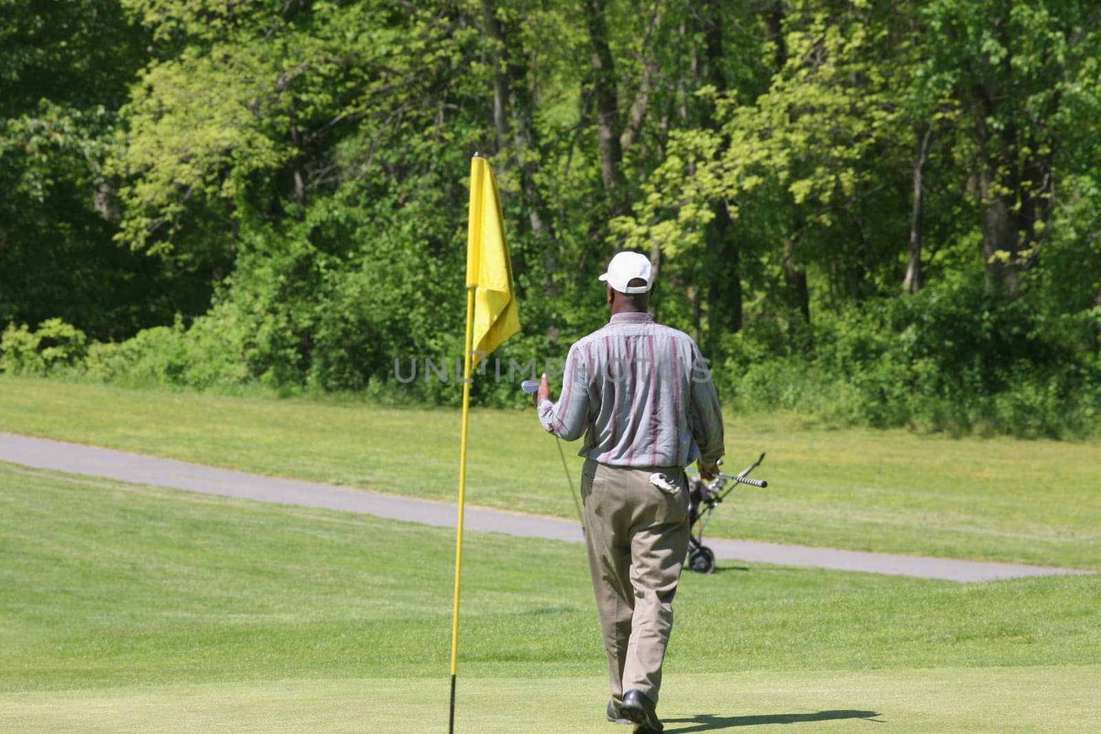 Rear view of a man carrying a golf club on a golf course