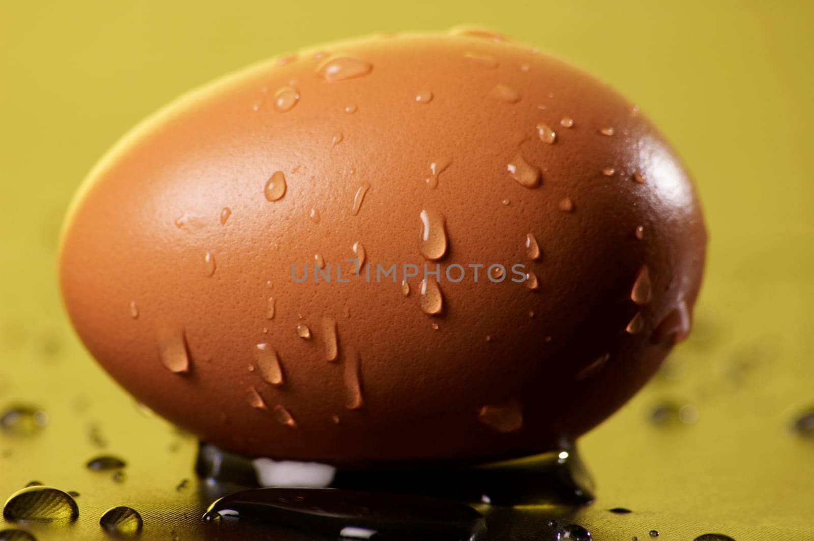 Close-up of water droplets on an egg