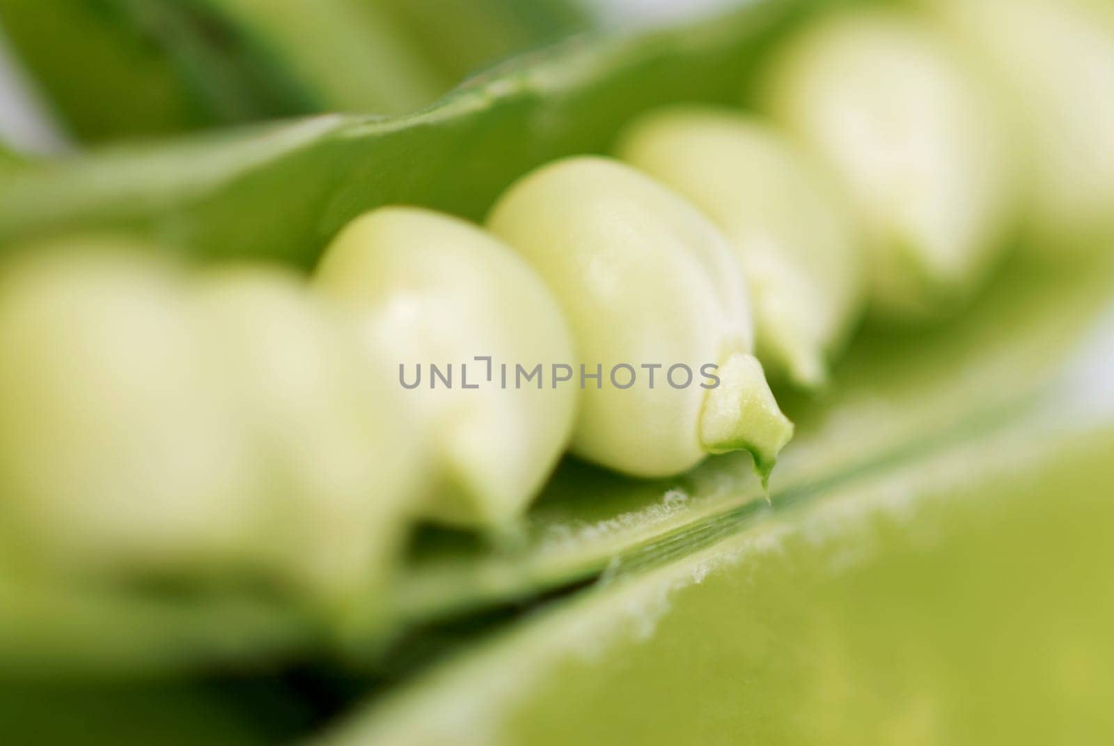 Close-up of peas in a pod