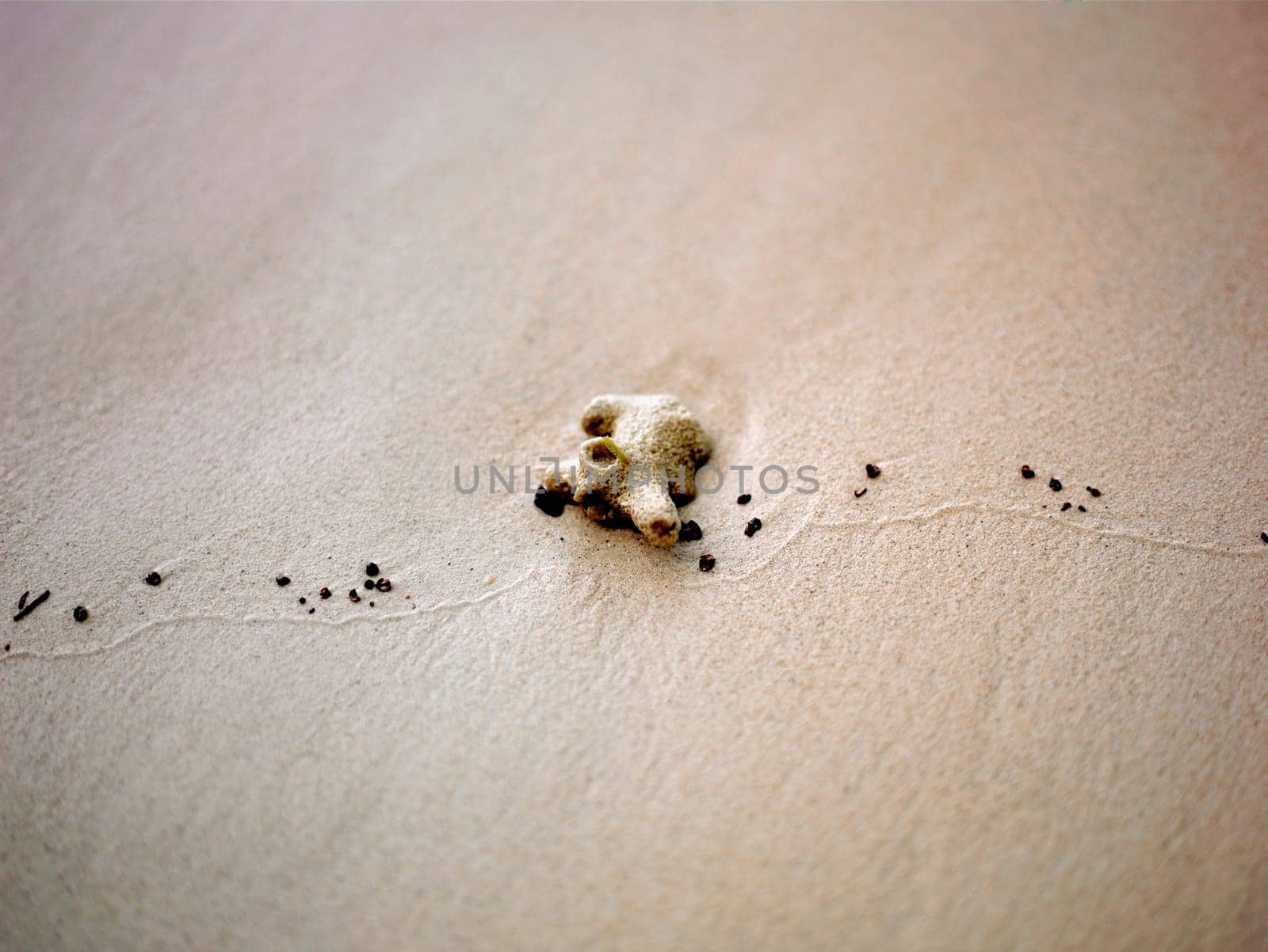 High angle view of a stone in the sand