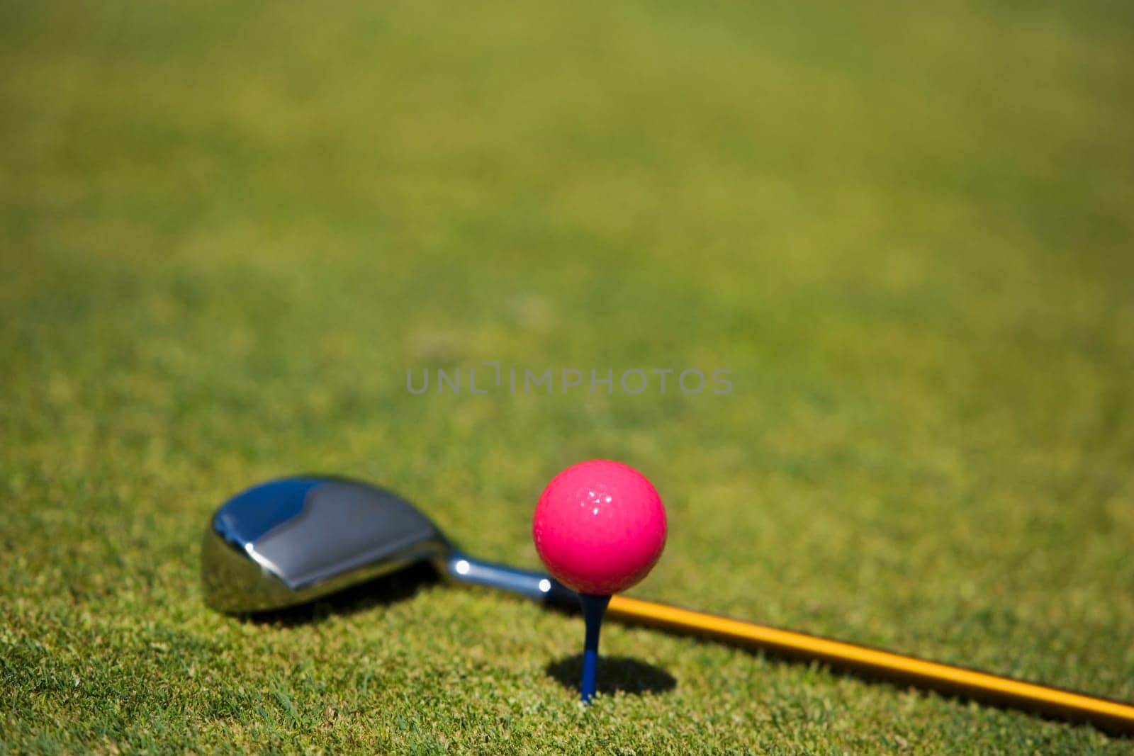 Close-up of a golf ball on a tee with a golf club on the grass
