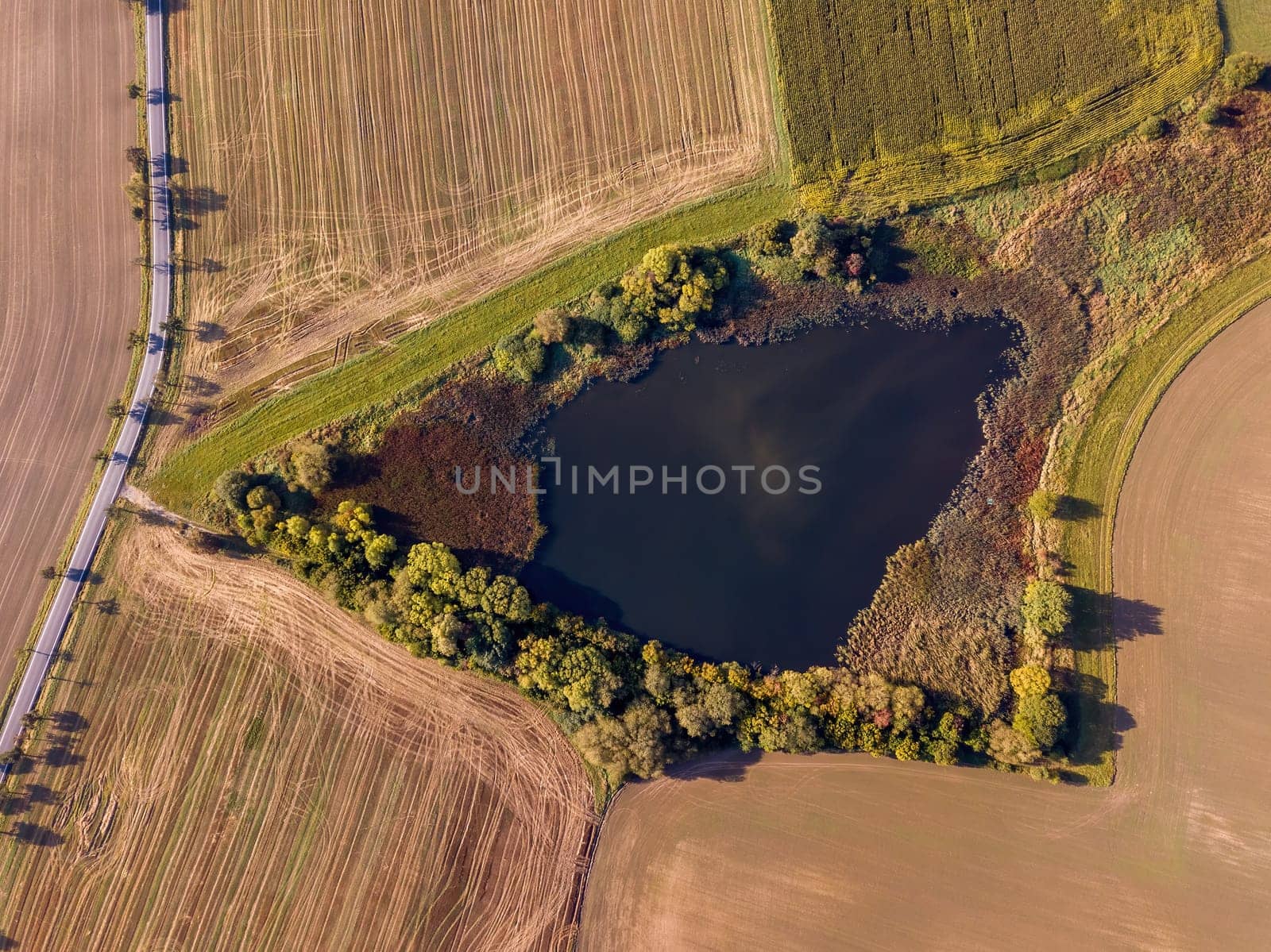 Aerial bird view of beautiful winter landscape with frozen pond covered with snow. Central european countryside. Czech Republic, Vysocina Highland region, Europe