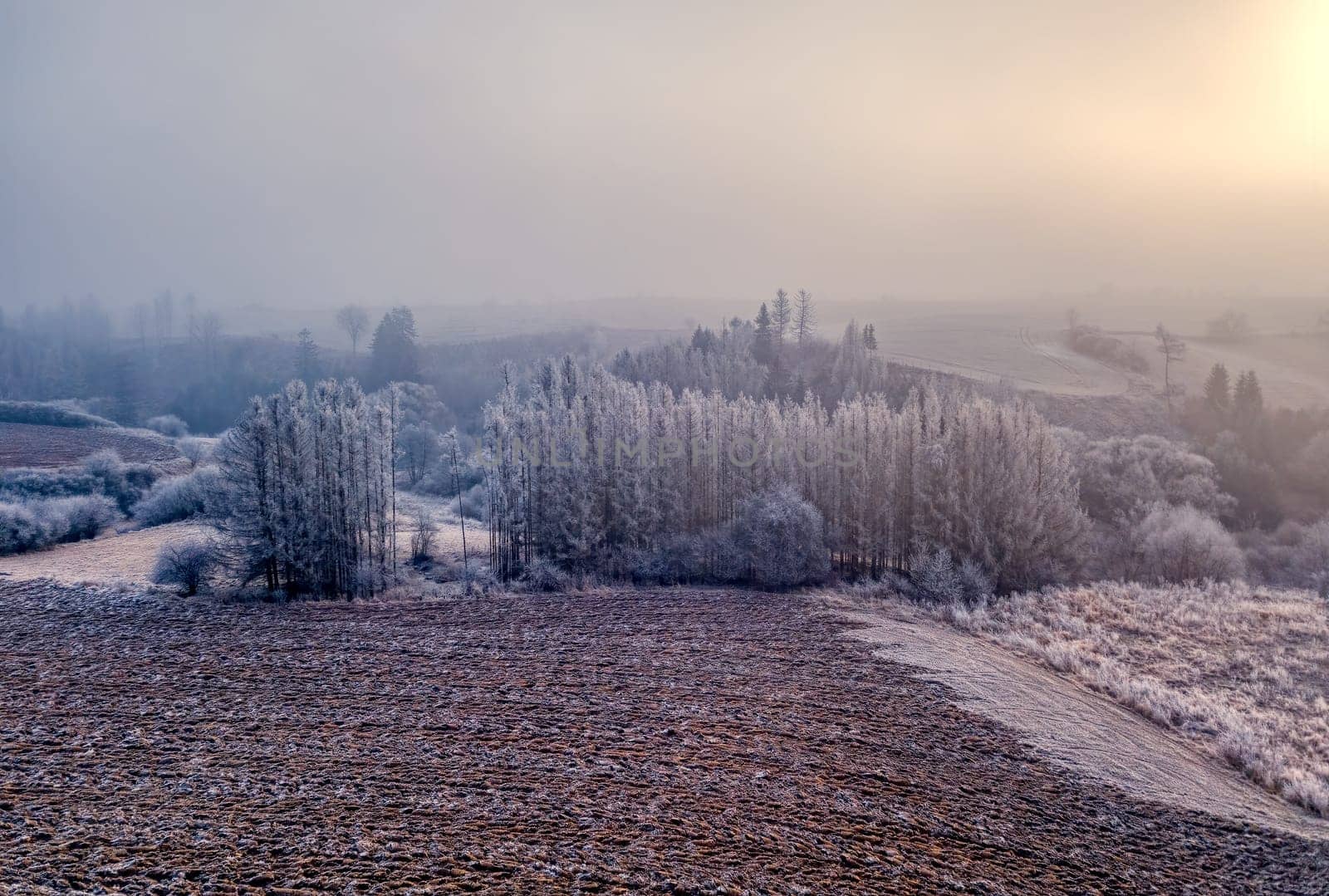 Winter misty and foggy country landscape with a tree silhouette on a fog at sunrise, rural countryside, Vysocina region Czech Republic