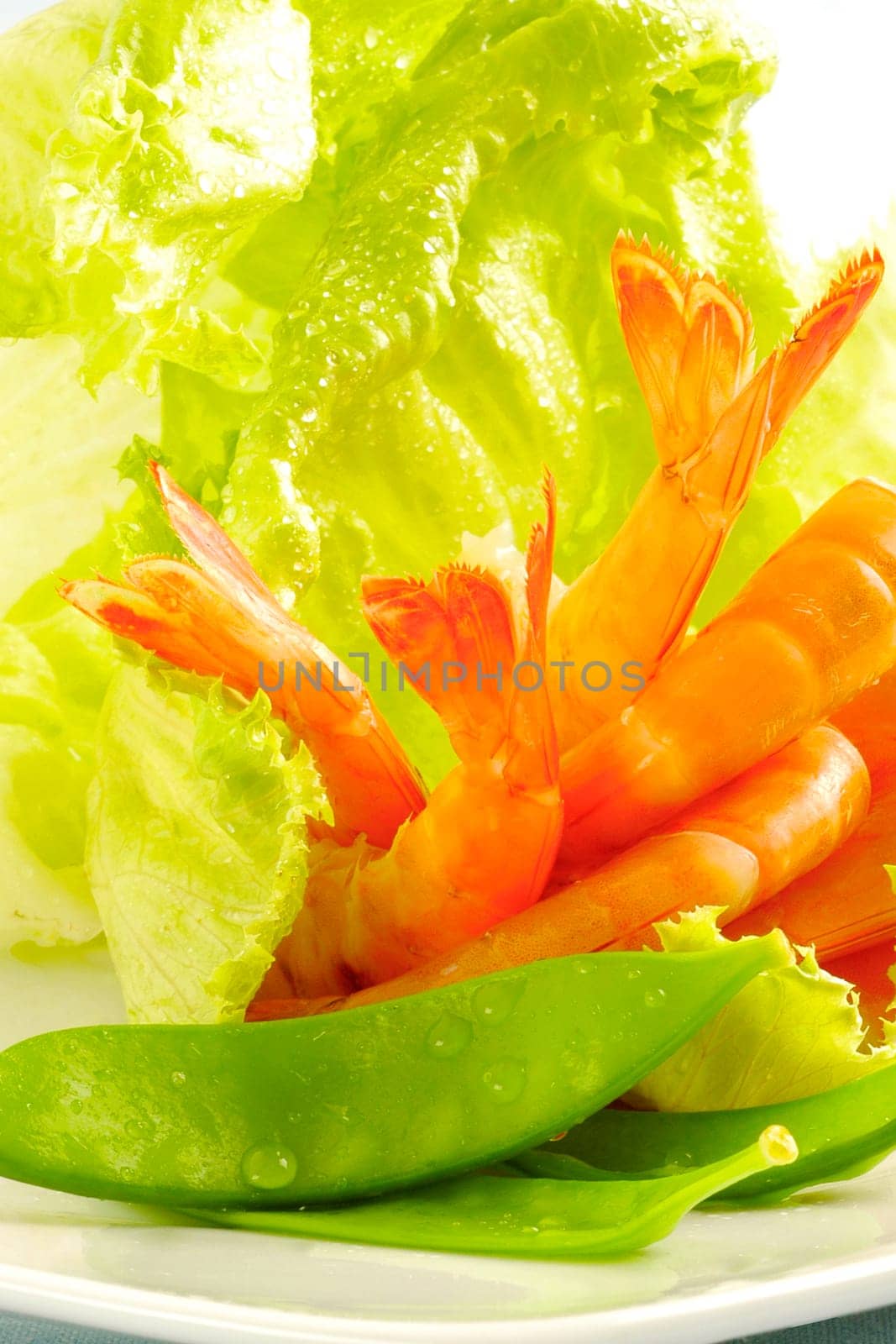 Close-up of shrimp and vegetable salad