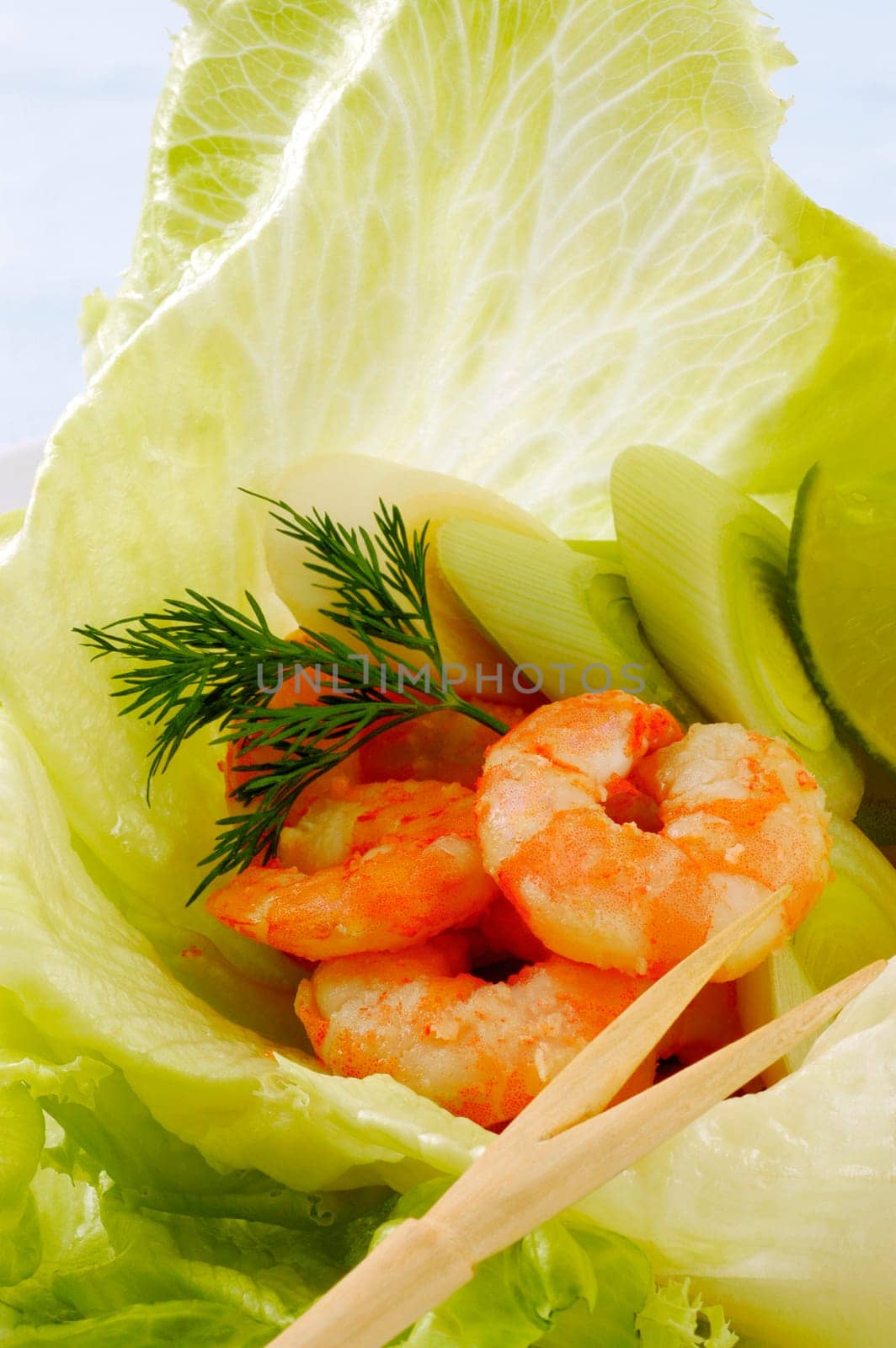 Close-up of shrimp and vegetable salad