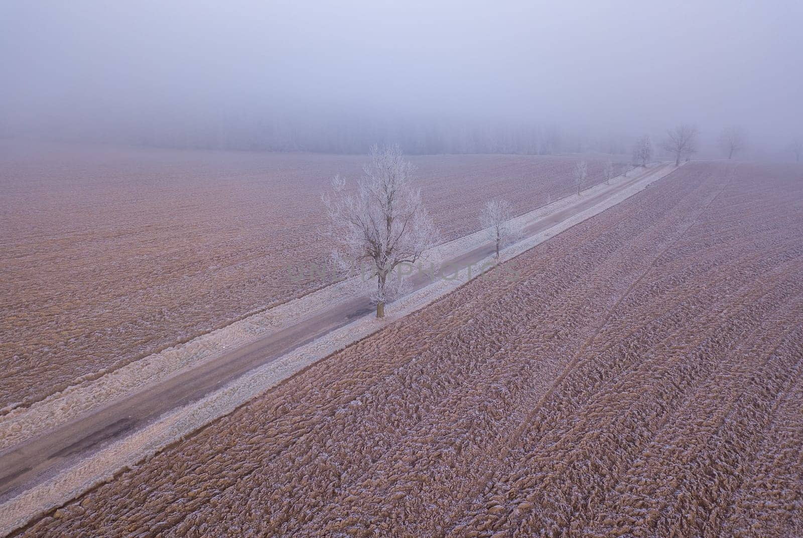 winter road, landscape covered by morning frost, top down aerial view, landscape. Simplicity concept landscape with diagonal composition.