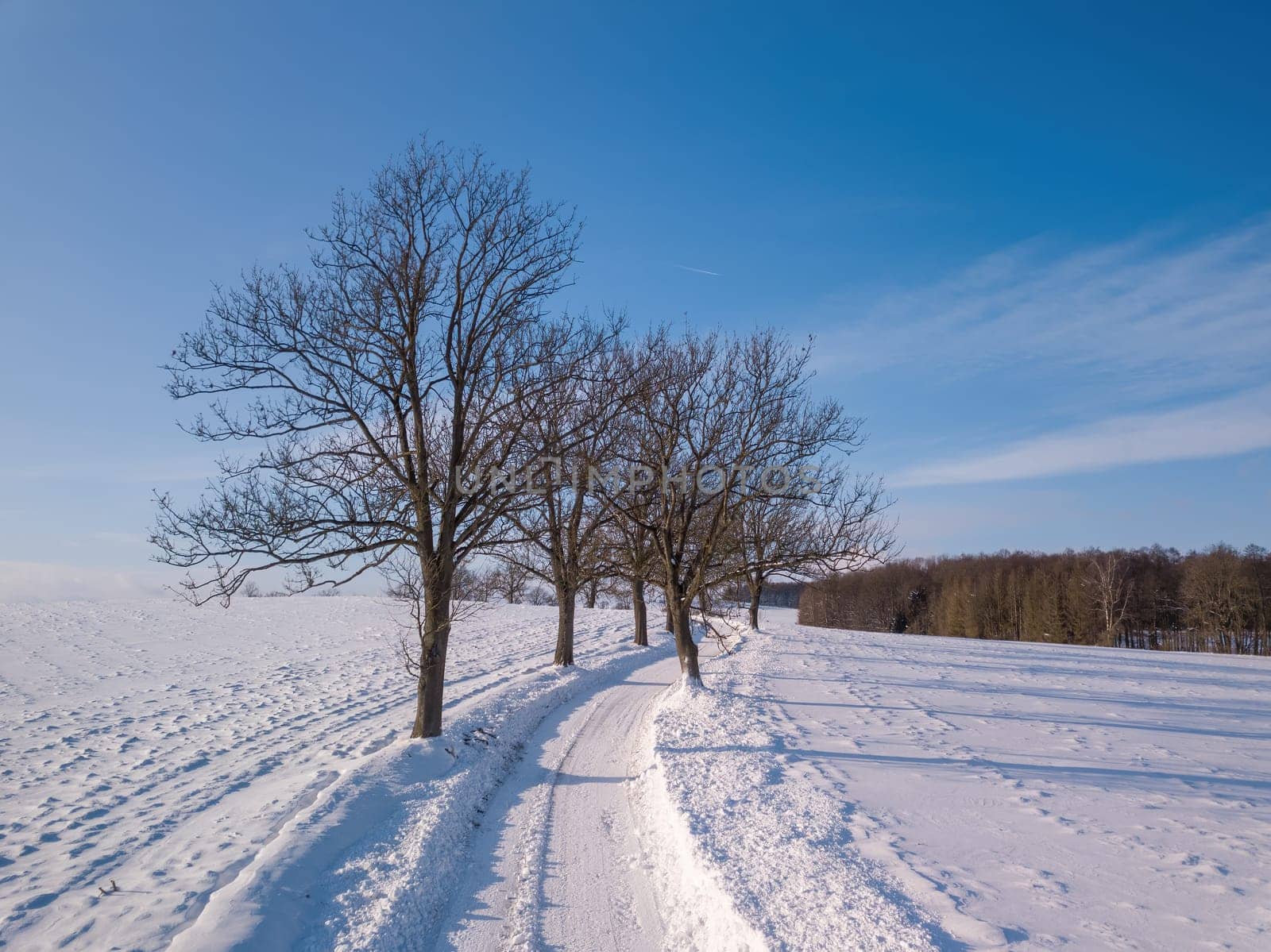 Winter landscape with rural road on a sunny frosty day. Czech Republic, Vysocina Highland region, Europe