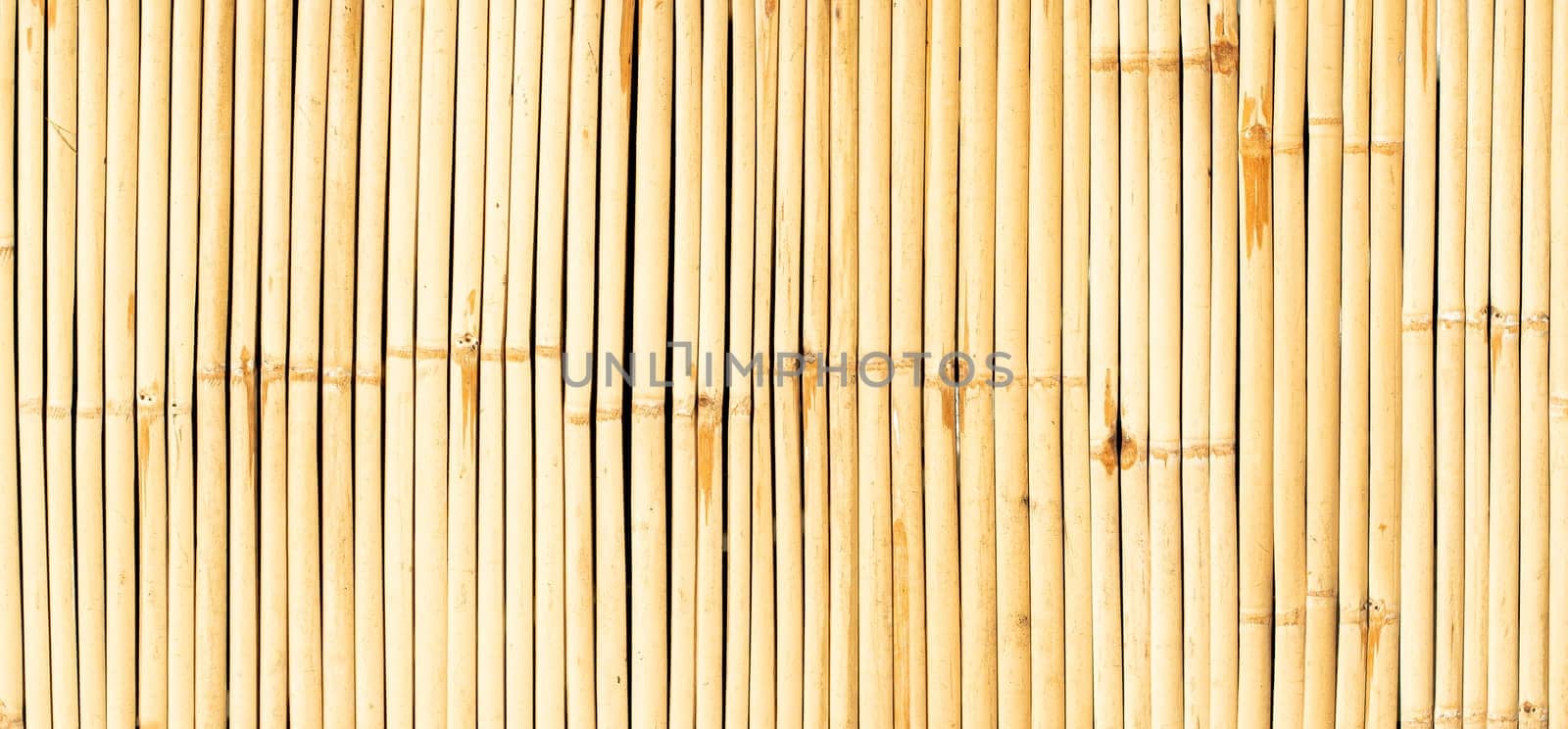 Seamless background of yellow wall bamboo. Nature wood material for traditional culture lifestyle