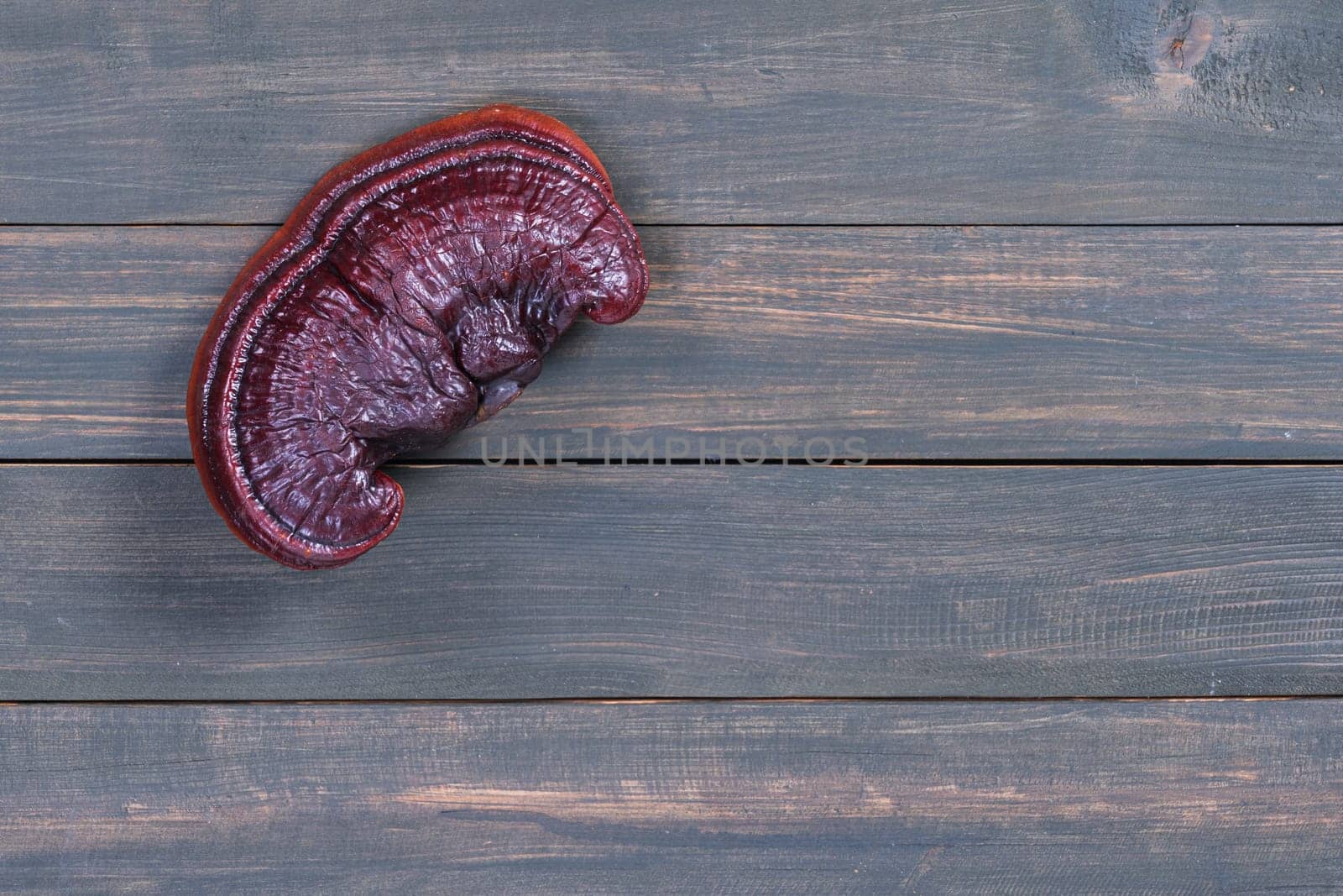 Close up of Ling zhi mushroom, Ganoderma lucidum mushroom on wood table