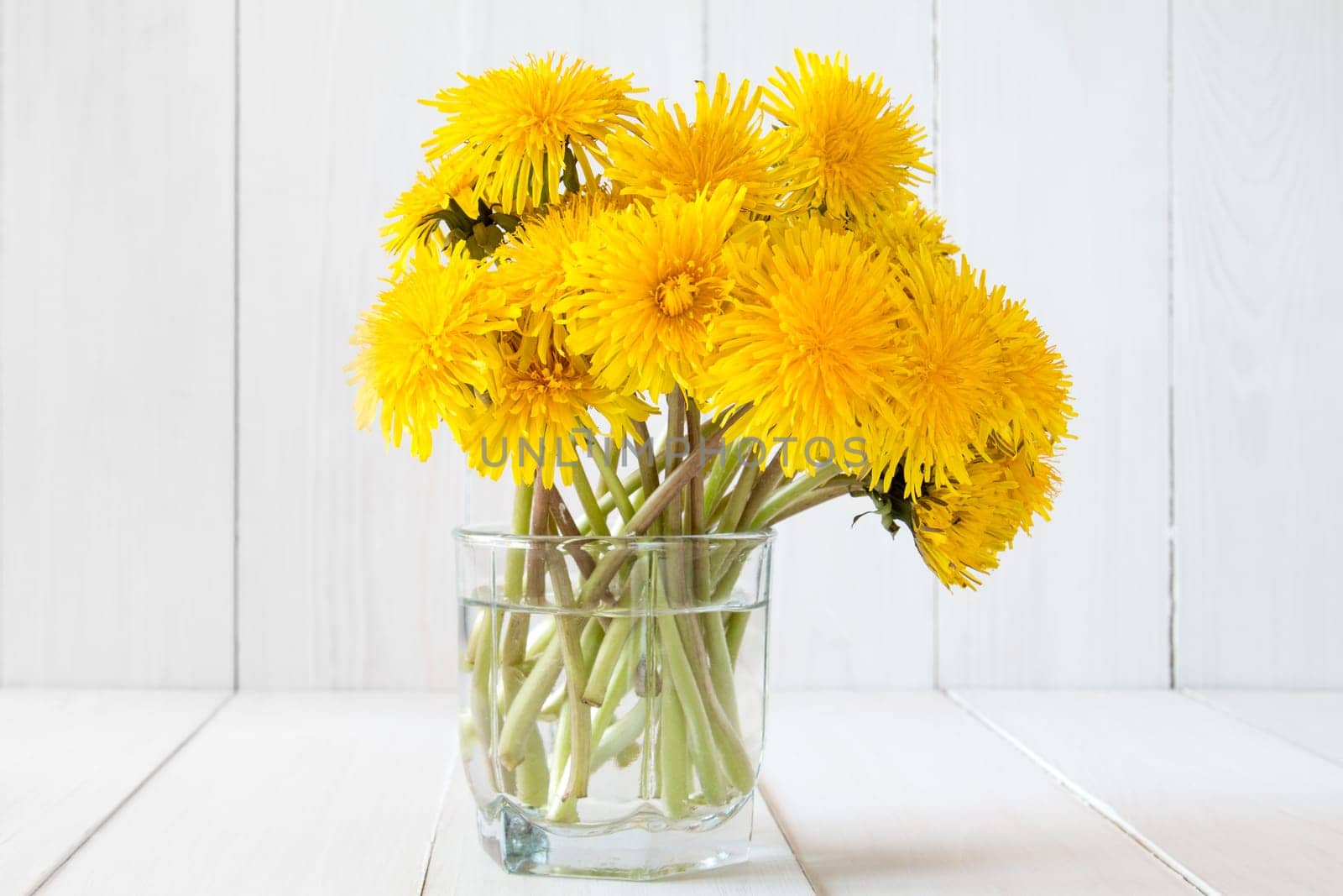 Dandelion flowers placed in glass with water