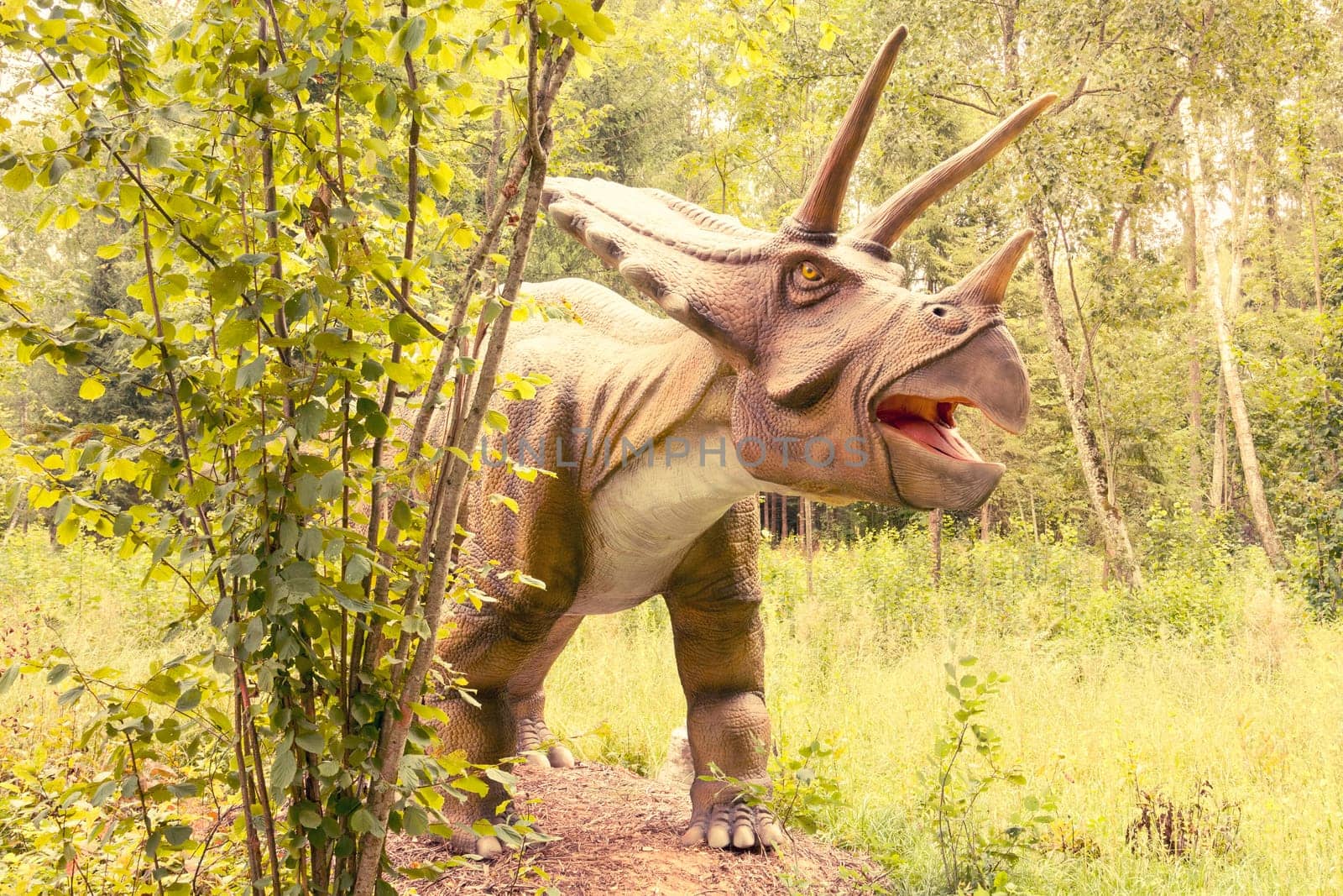 Raubonys Park,Lithuania - 23 August 2017.Statue of Triceratops dinosaur in a green forest