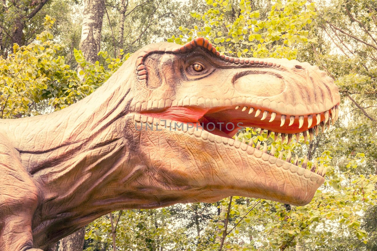 Raubonys Park,Lithuania - 23 August 2017.Close-up head of Tyrannosaurus rex with open mouth