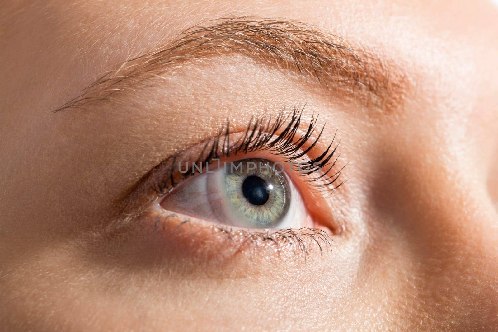 Close-up of a female face with eye lip nose and eyebrows isolated on white background