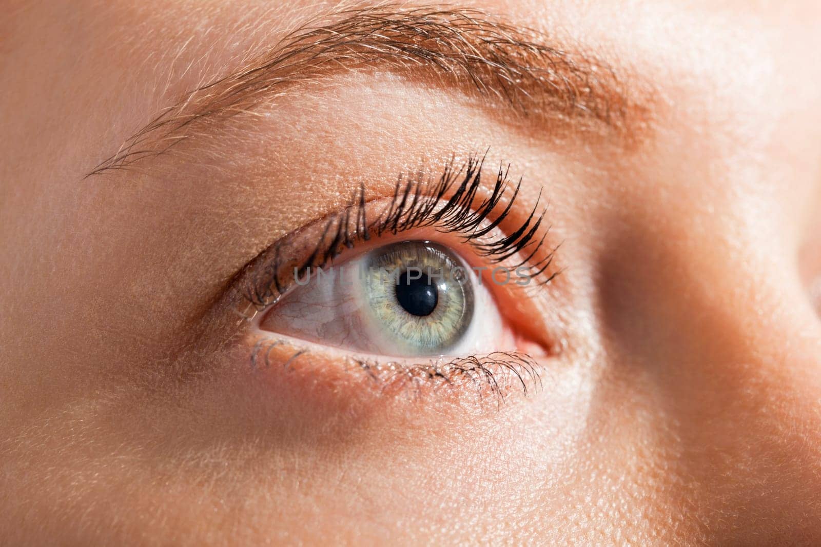 Close-up of a female face with eye lip nose and eyebrows isolated on white background