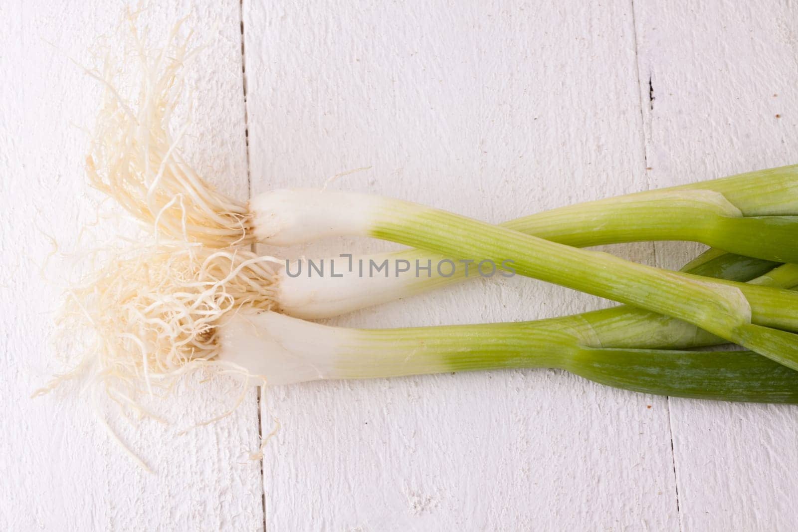 Bunch fresh leek onions spring onions with root on a rustic white wooden board