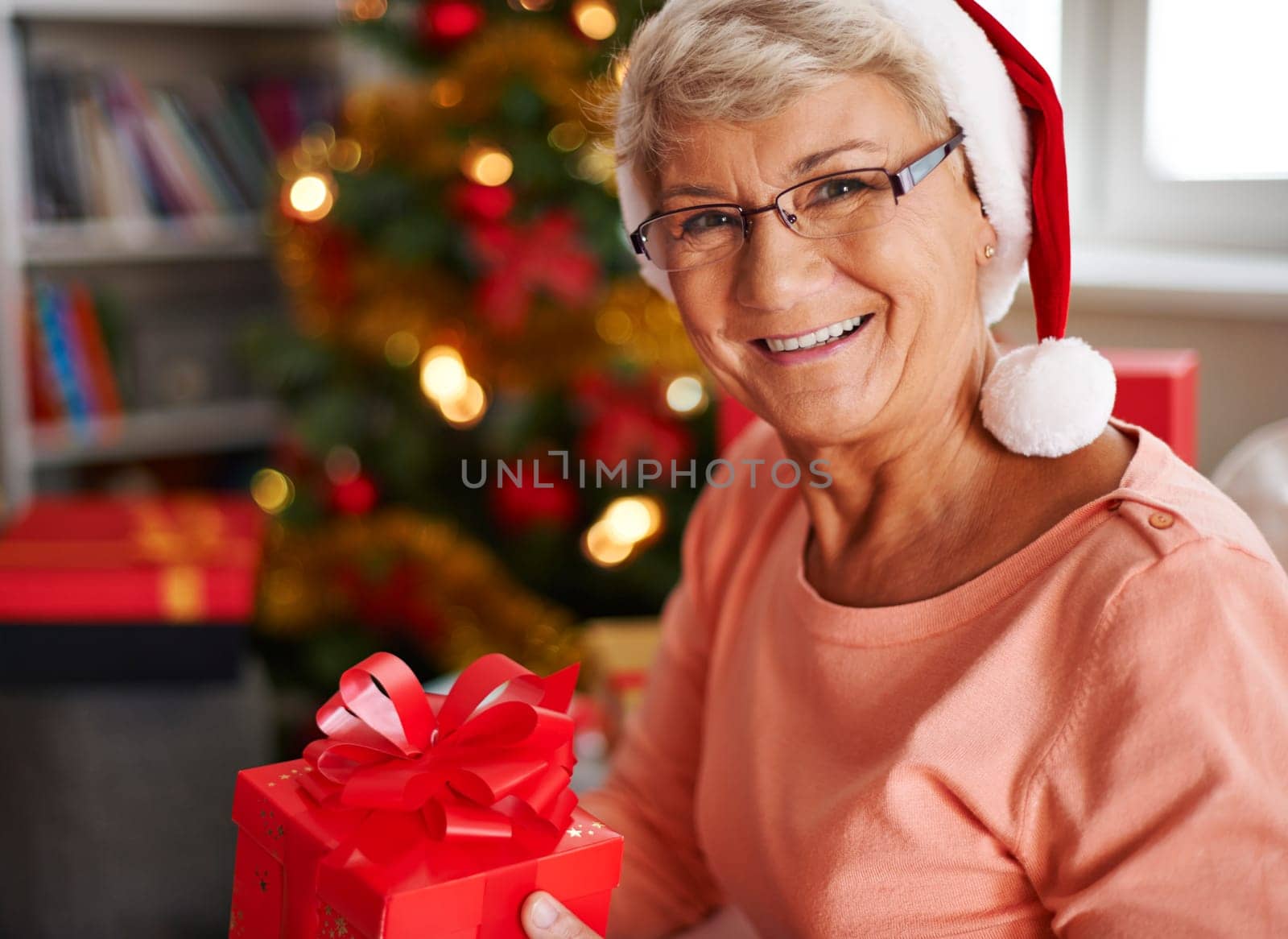 Christmas is my favorite time of year