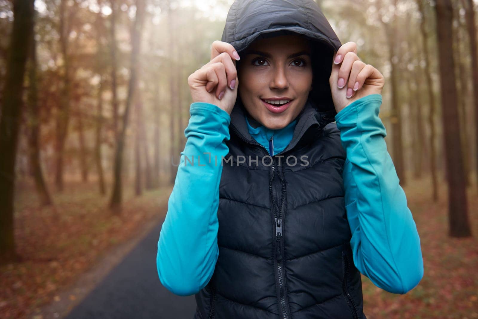 Hiding before bad weather under the hood
