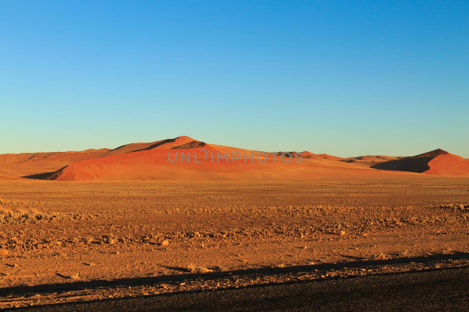Panorama trought red dunes from Sesriem to Sossusvlei, Namibia