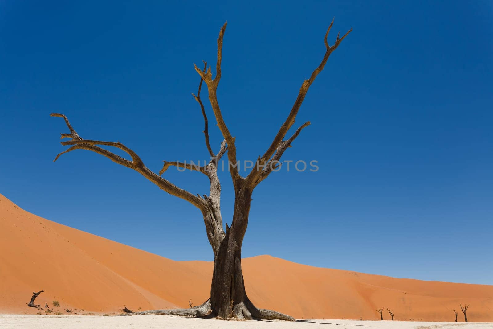 A view from Dead Vlei, Sossusvlei Namibia