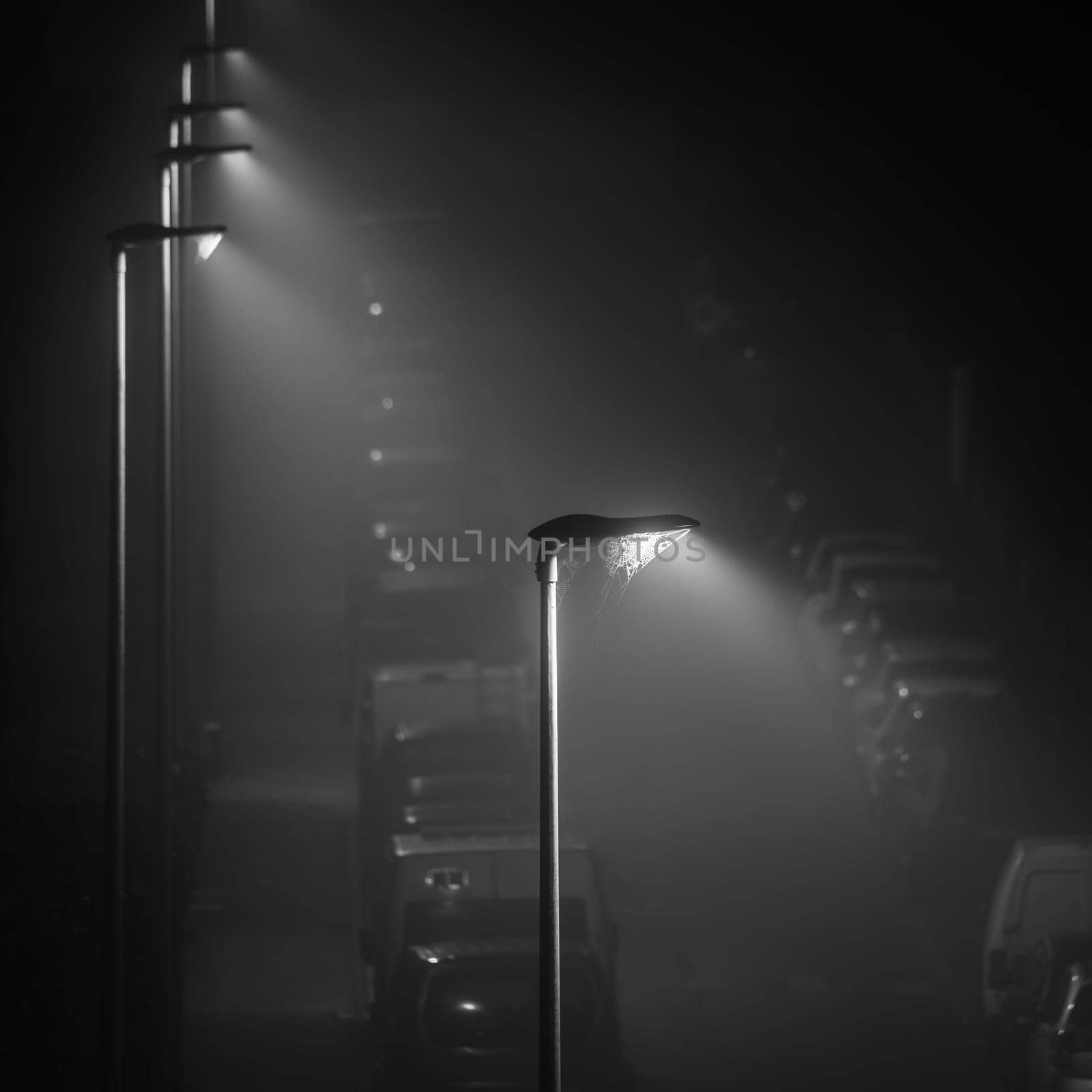 Modern LED street lights illuminating an empty foggy street, spider web on the lamp, square crop