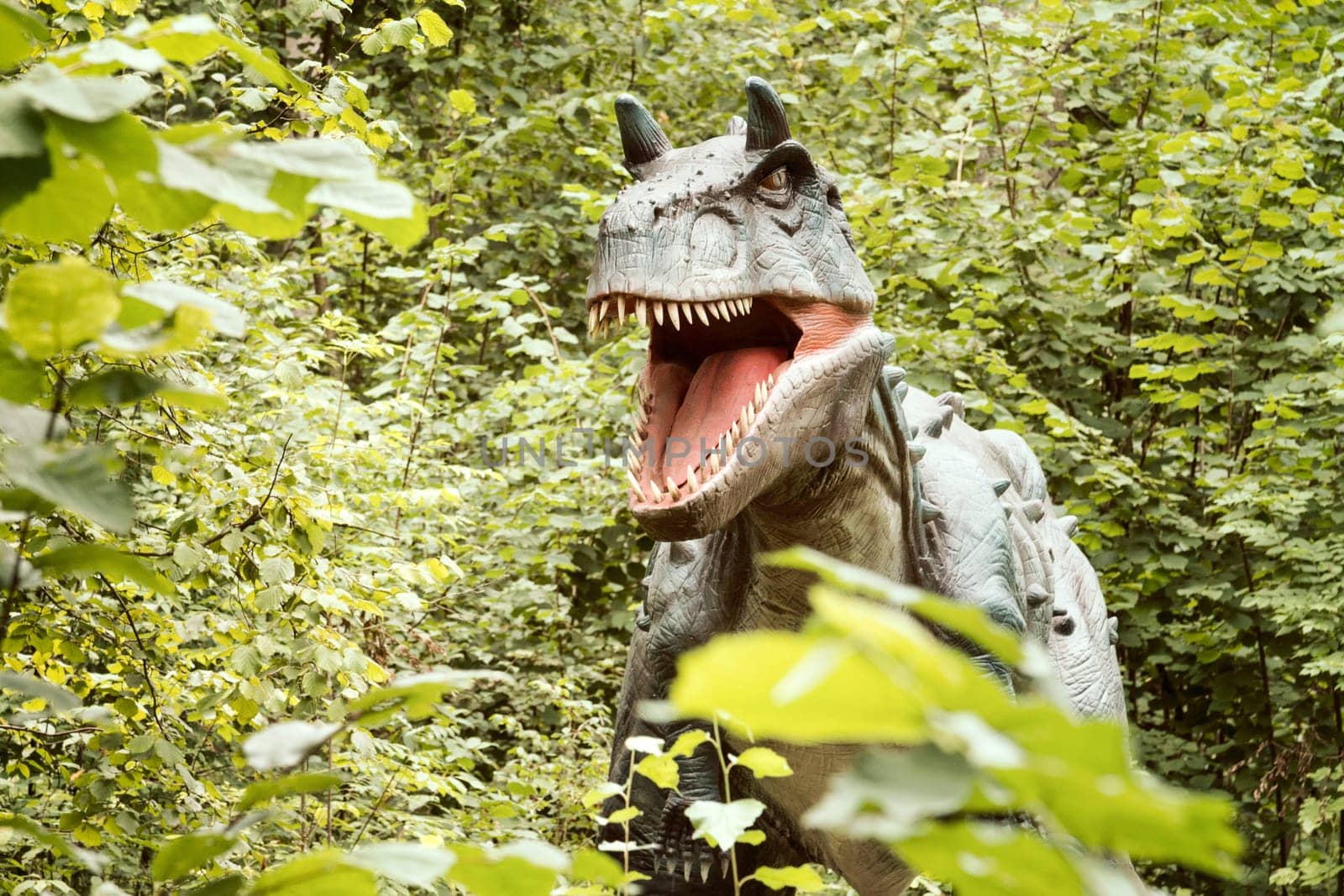 Raubonys Park,Lithuania - 23 August 2017.Statue of Gorgosaurus dinosaur in a green forest