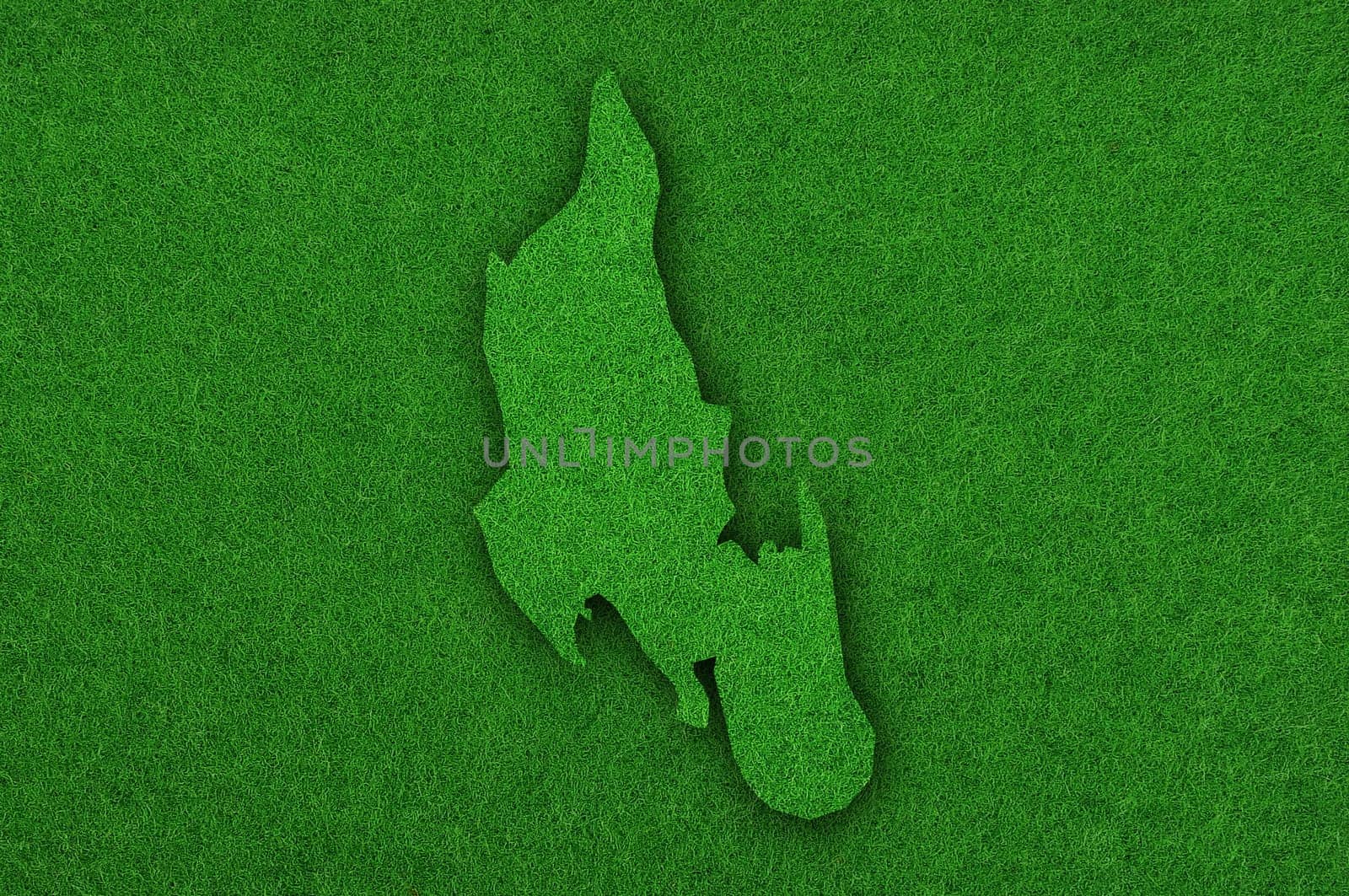 Map of Zanzibar on green felt