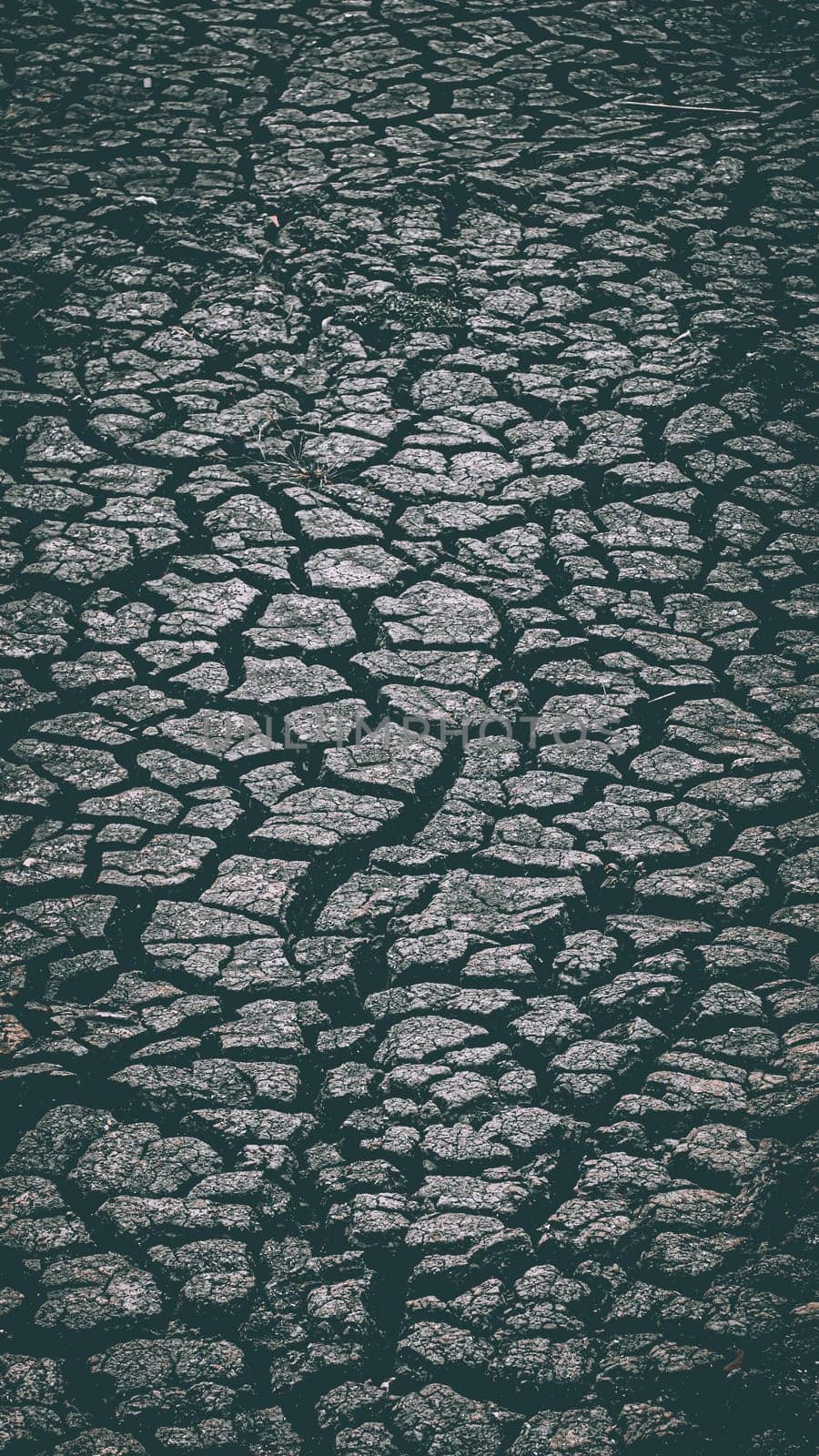Texture of cracked brown clay soil, crack earth and dry ground. Crack earth, dry ground surface texture.
