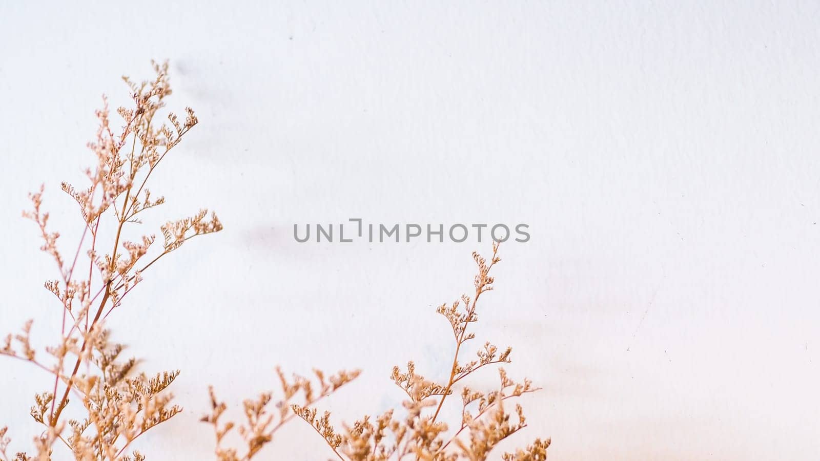Tree with colorful bokeh sun light on sunset sky cloud abstract background. Summer vacation and nature travel adventure concept. Vintage tone filter effect color style
