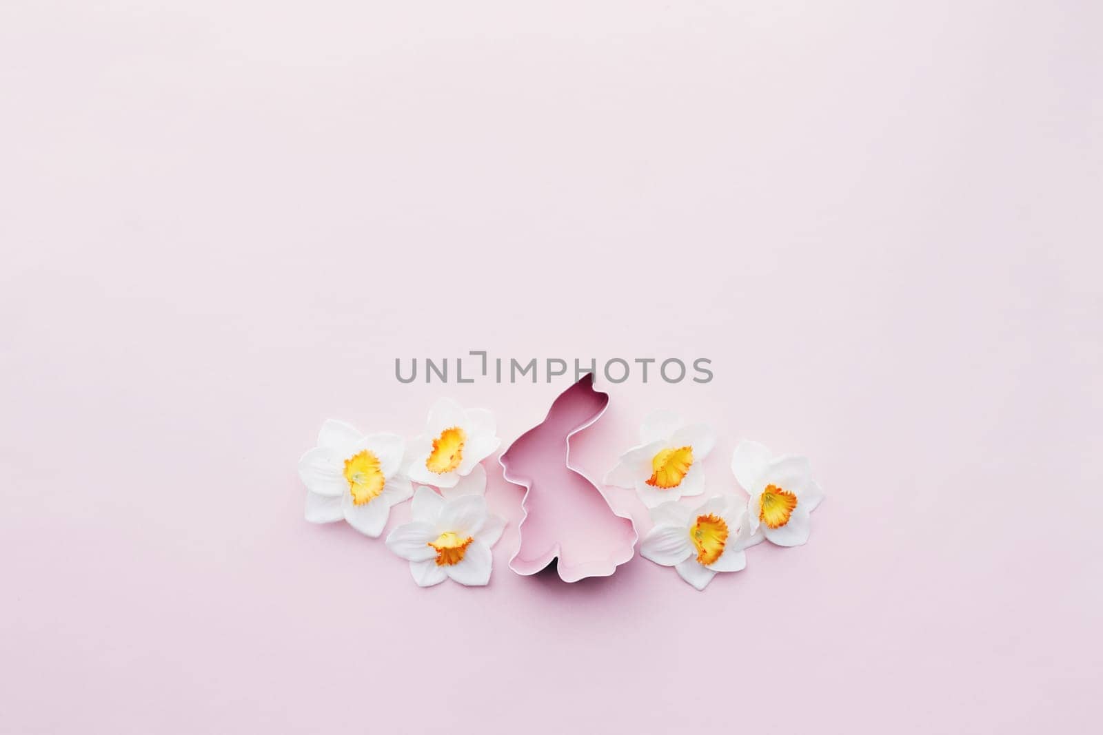 Spring Narcissus, bunny Easter form for baking. Pink background. High quality photo
