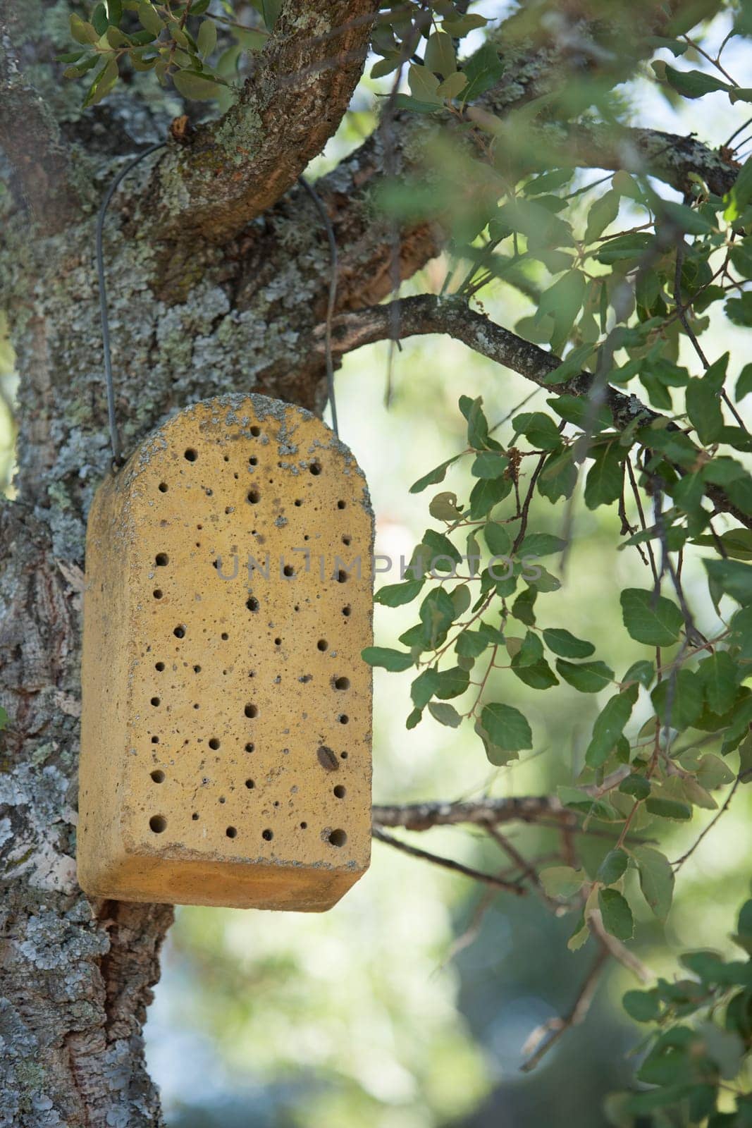 Concrete bug house. A concrete insect hotel hanging on tree
