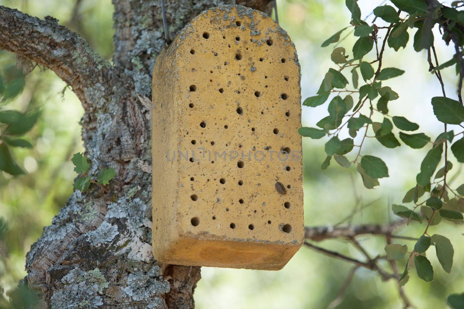 Concrete bug house. A concrete insect hotel hanging on tree