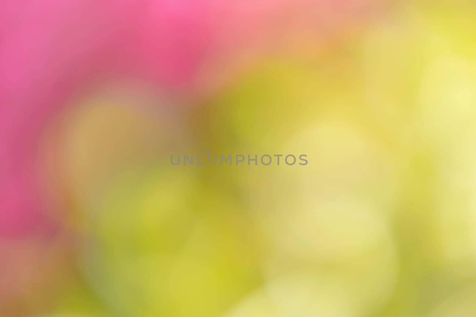 blurry natural background with shallow focus and bokeh, wallpaper or backdrop use. Spring background. Spring Backdrop. Natural background, Natural wallpaper. Spring wallpaper