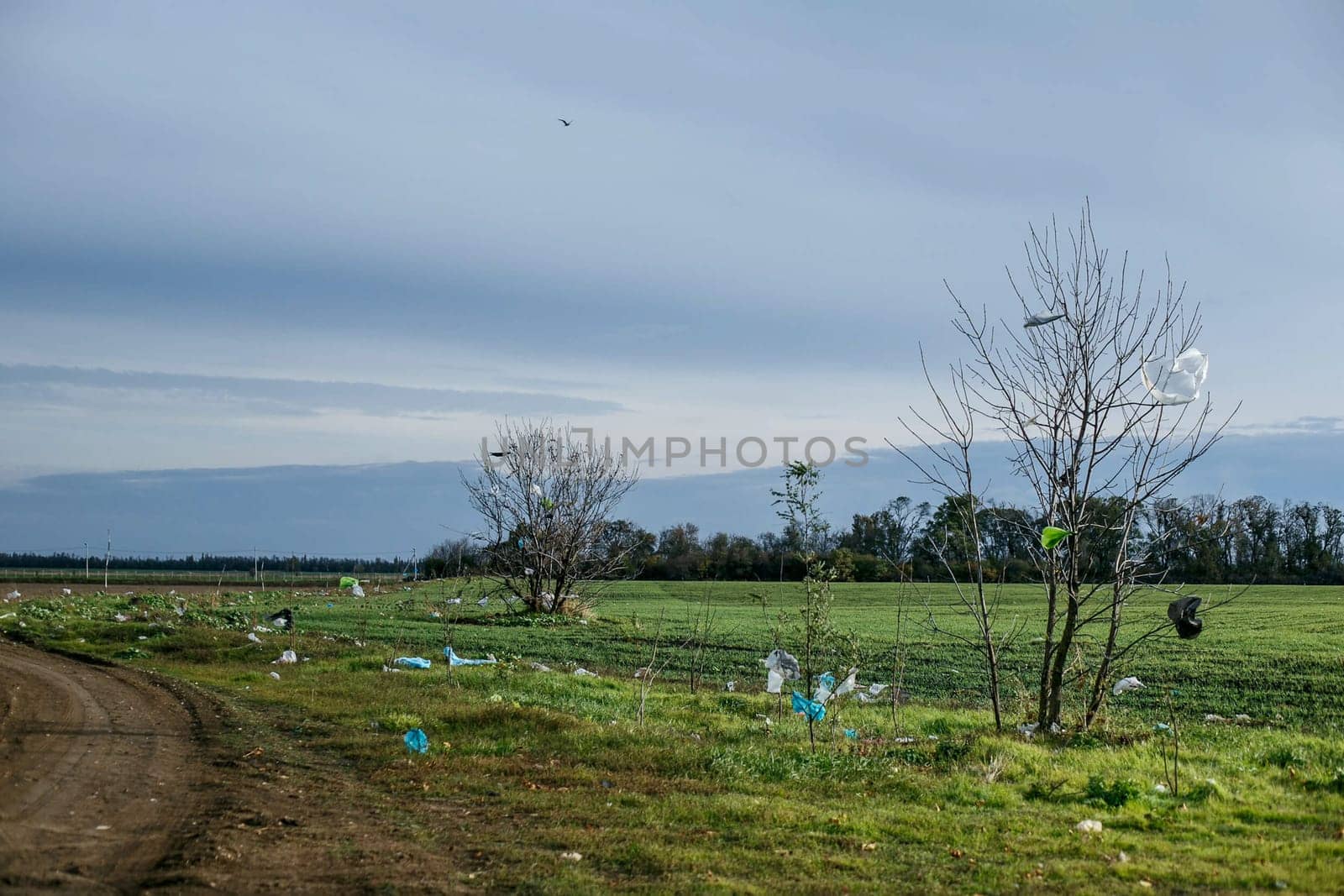 Garbage bags spread across the field and trees.