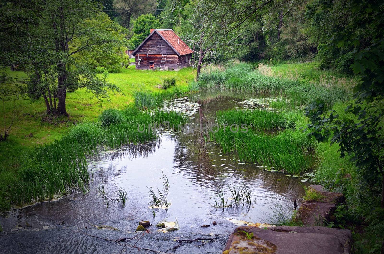 A small wooden house by the pond in the woods.
