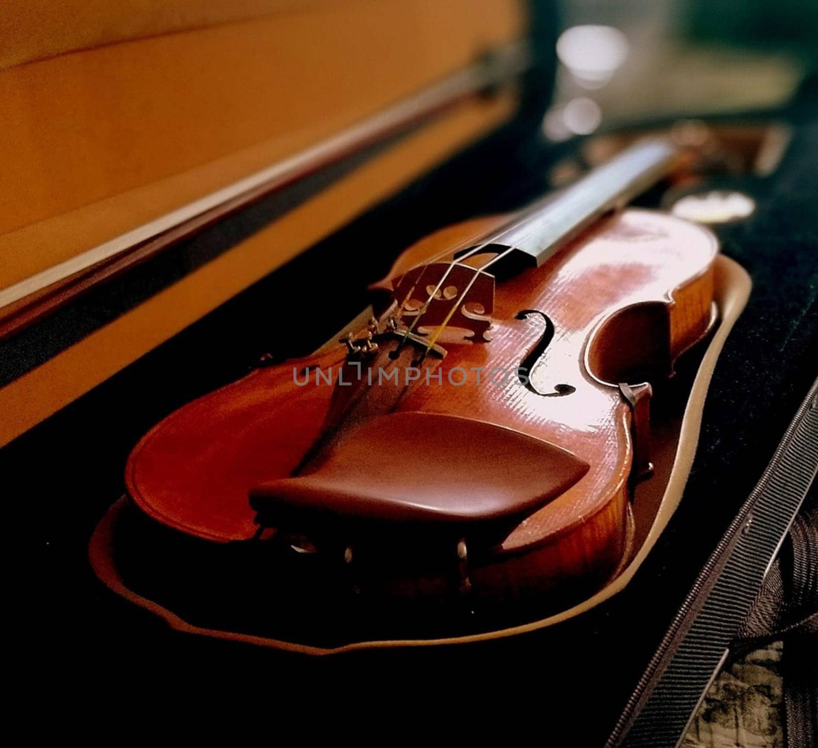 Violin in a case. A musical instrument.