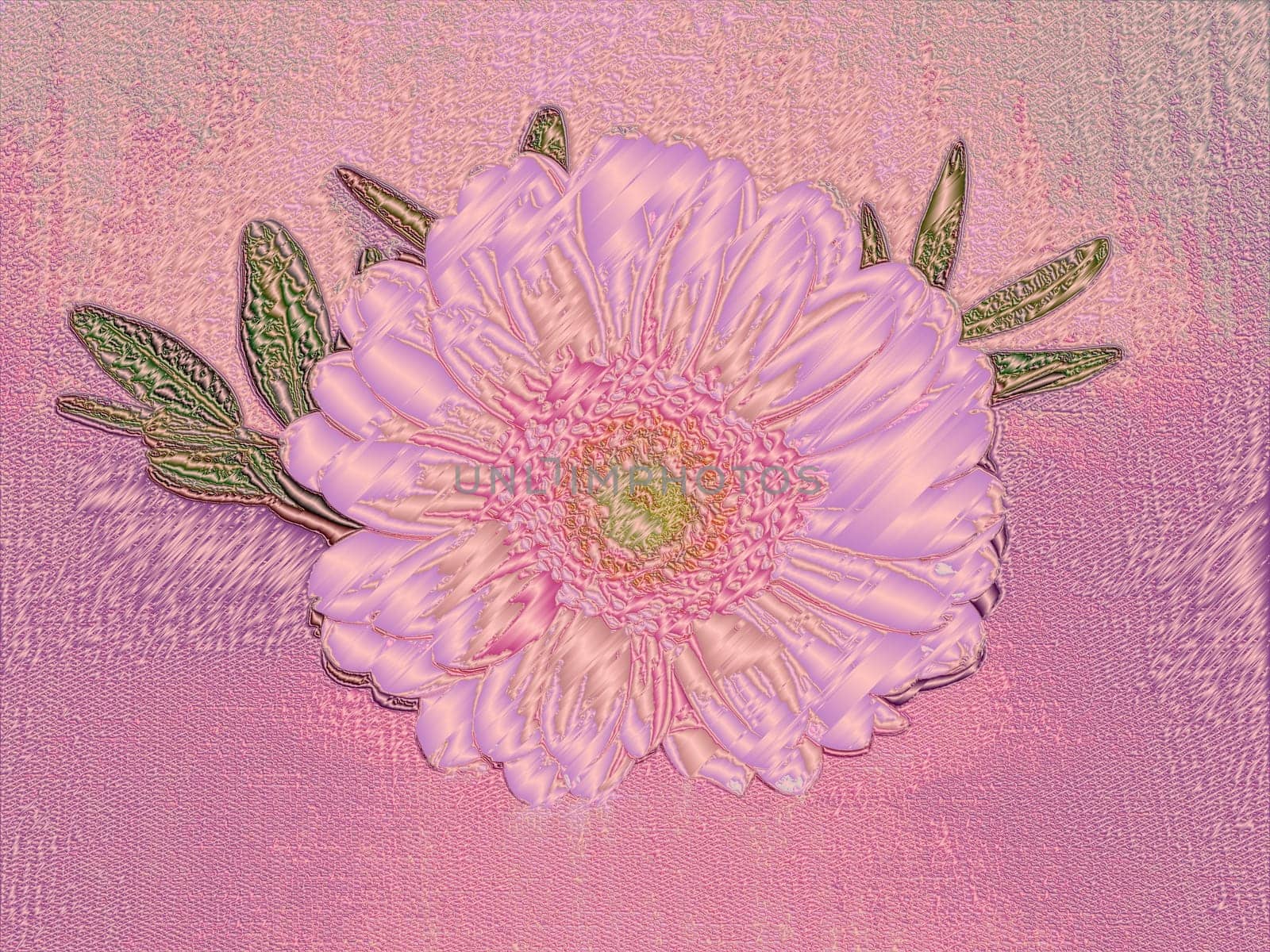 delicate flower as a gift for many occasions