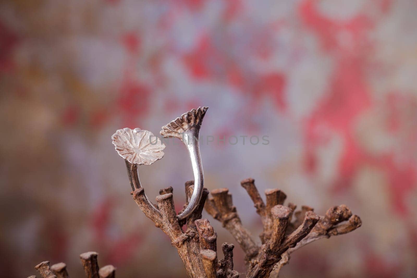 Close up of silver ring, manufactured by Ornella Salamone