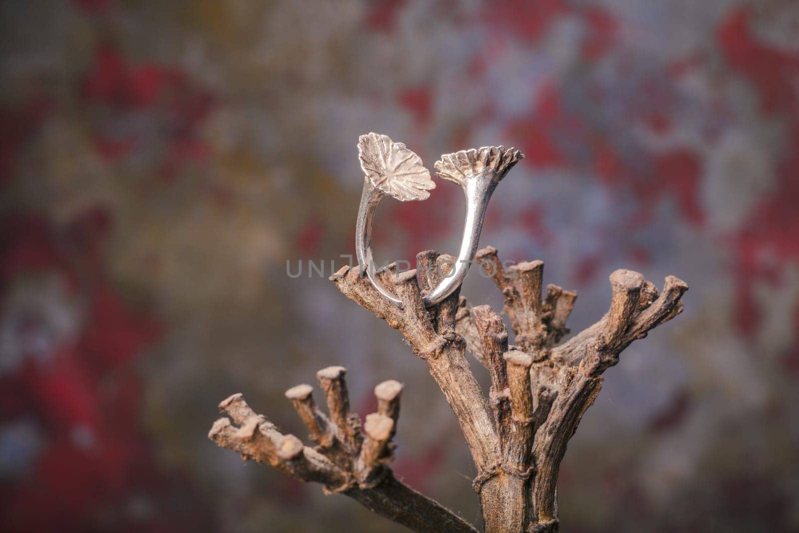 Close up of silver ring, manufactured by Ornella Salamone
