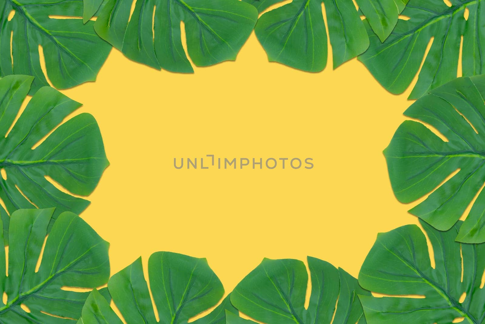 Monstera leaves summer on yellow background. Copy space concept and top view