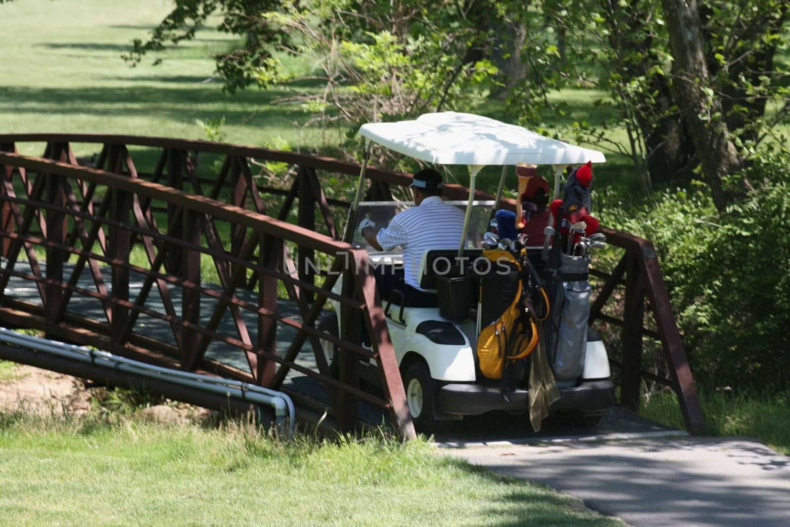 Rear view of a man riding a golf cart