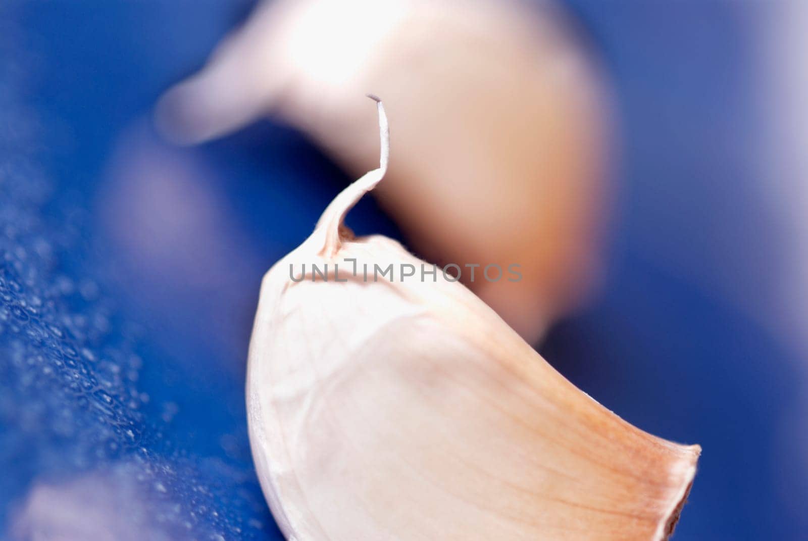 High angle view of a garlic pod