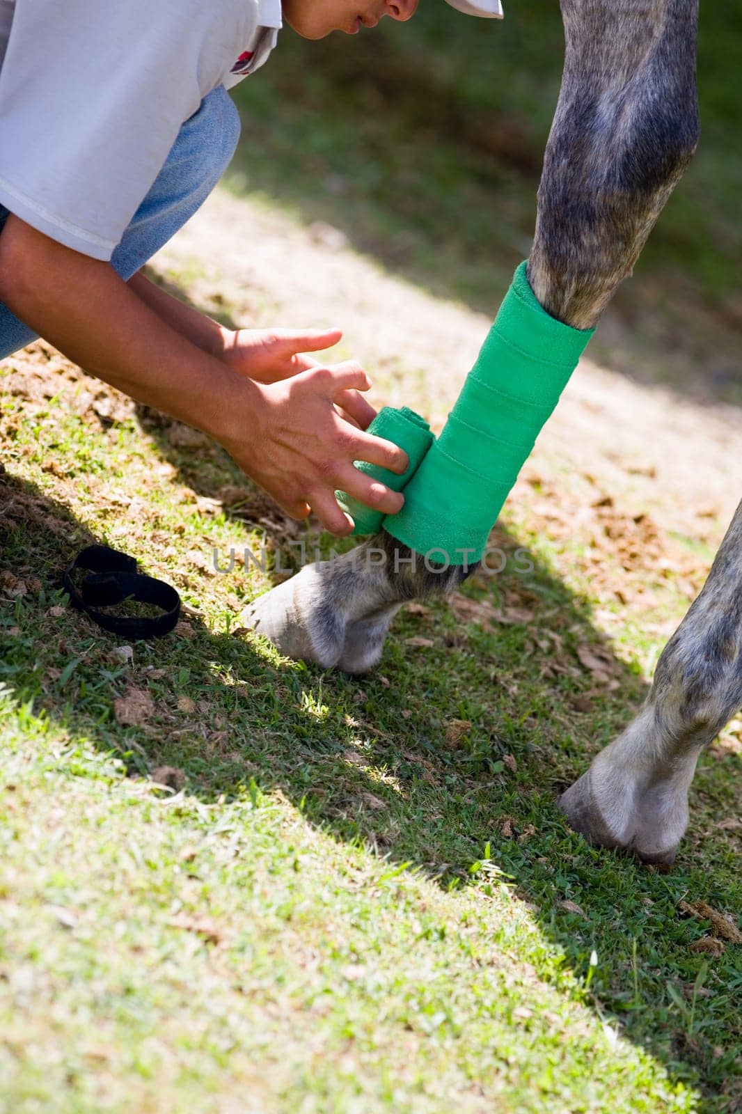 Side profile of a man rolling a bandage on a horse leg
