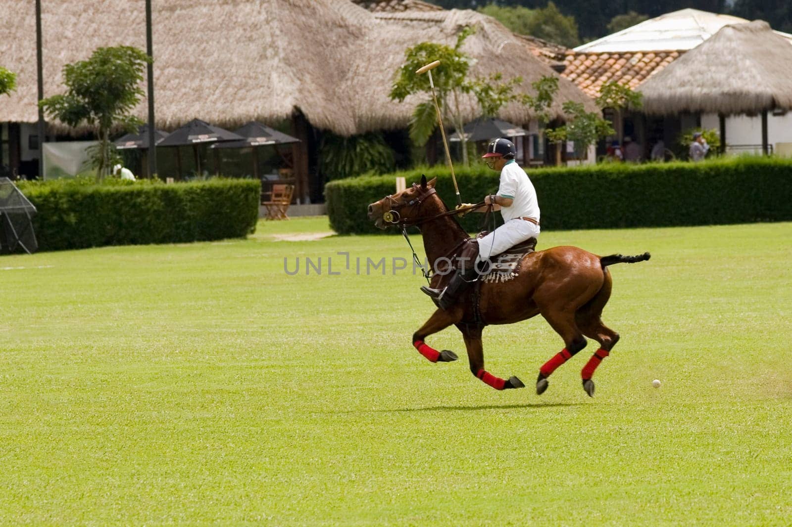 Side profile of a man playing polo