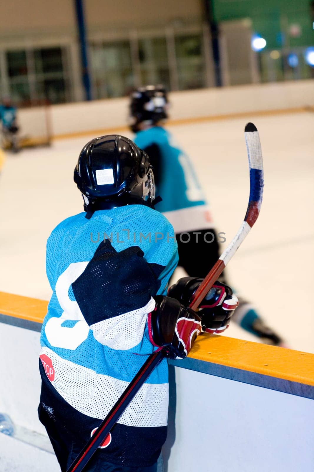 Rear view of an ice hockey player watching ice hockey