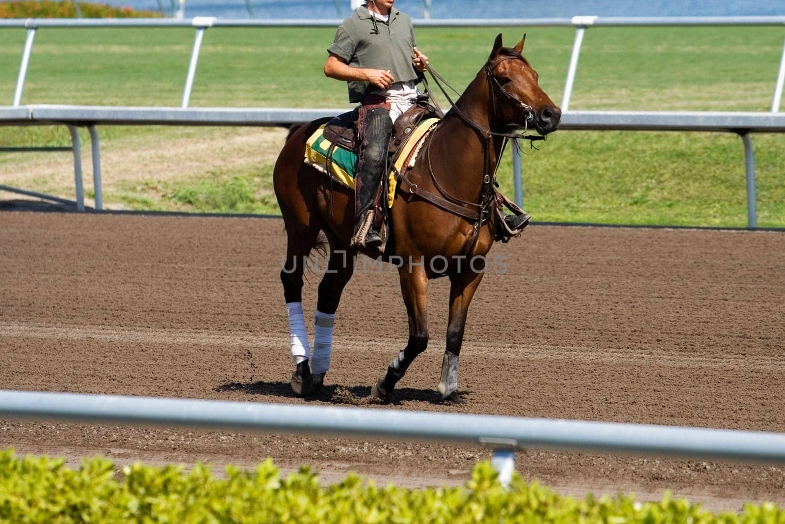 Side profile of a jockey riding a horse in a horse race