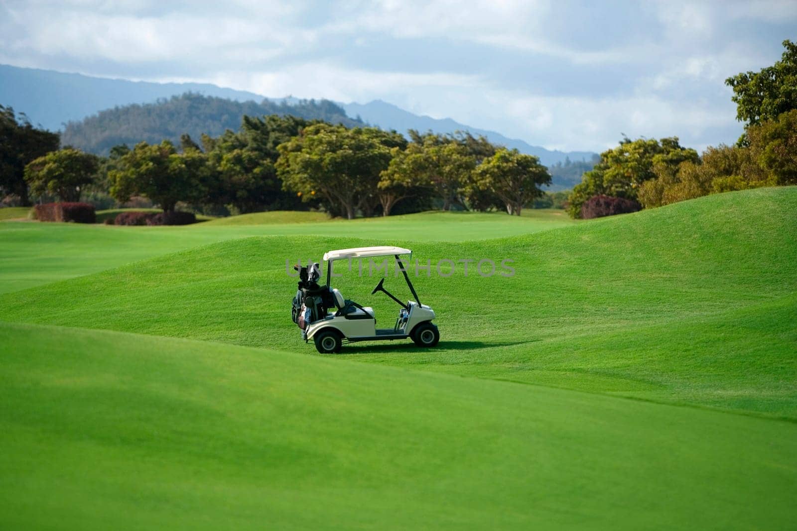 Golf cart in a golf course