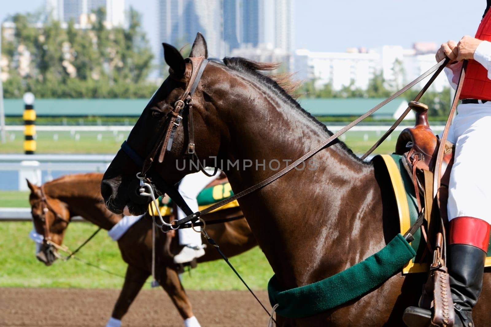 Low section view of two jockeys riding horses in a horse race
