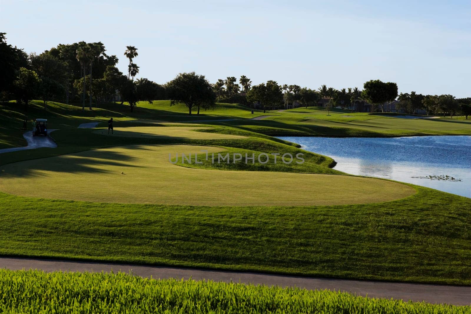 Trees in a golf course